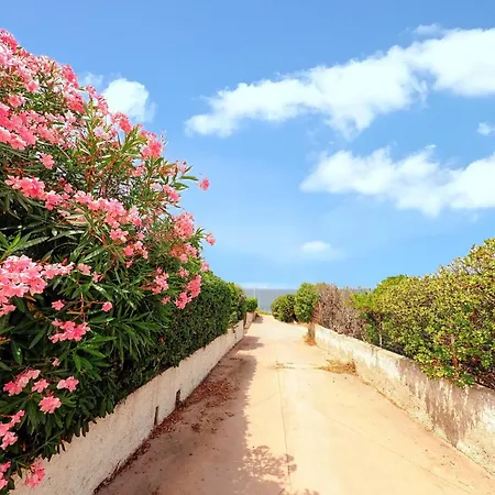 Dom wakacyjny Welcoming House In Punta Tramontana - 60 M² With Sea View