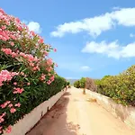 Semesterbostad Welcoming House In Punta Tramontana - 60 M² With Sea View