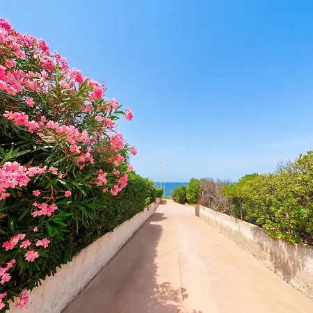 Welcoming House In Punta Tramontana - 60 M² With Sea View בית נופש Tergu