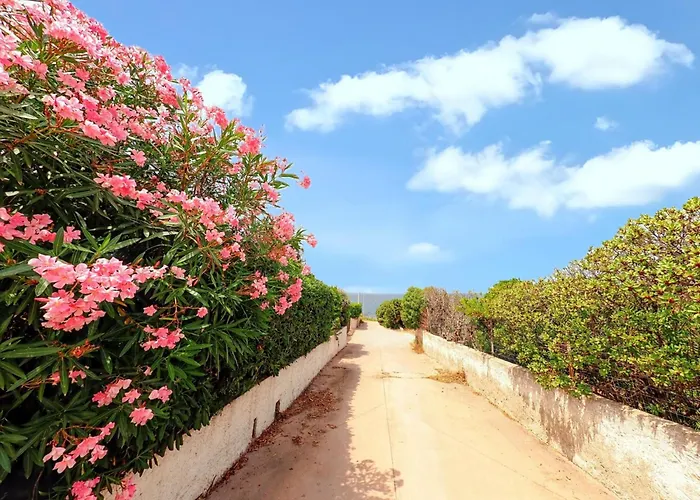 度假居 Welcoming House In Punta Tramontana - 60 M² With Sea View